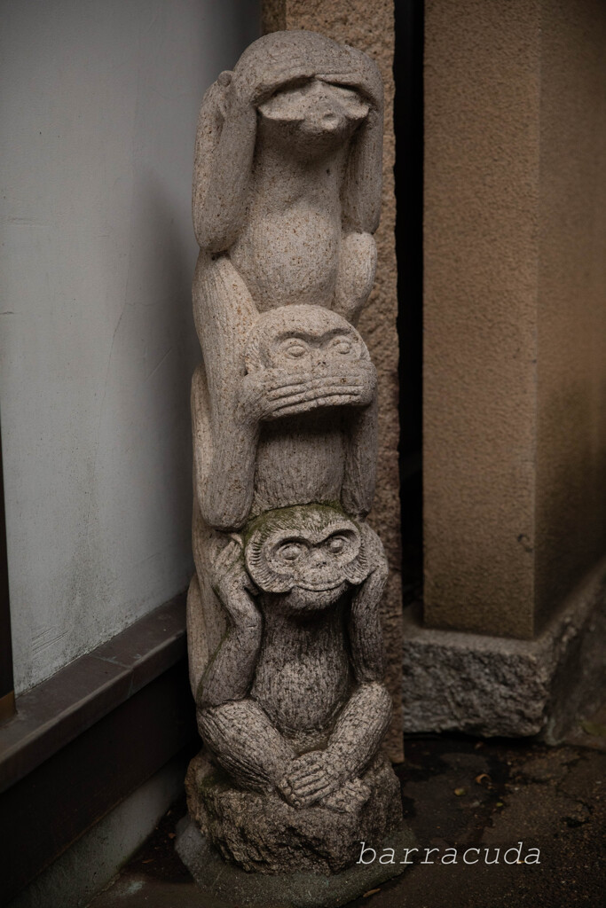 目黒・大円寺⑧