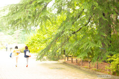 神代植物公園にて⑪
