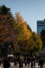 上野公園散策（第一弾）⑤