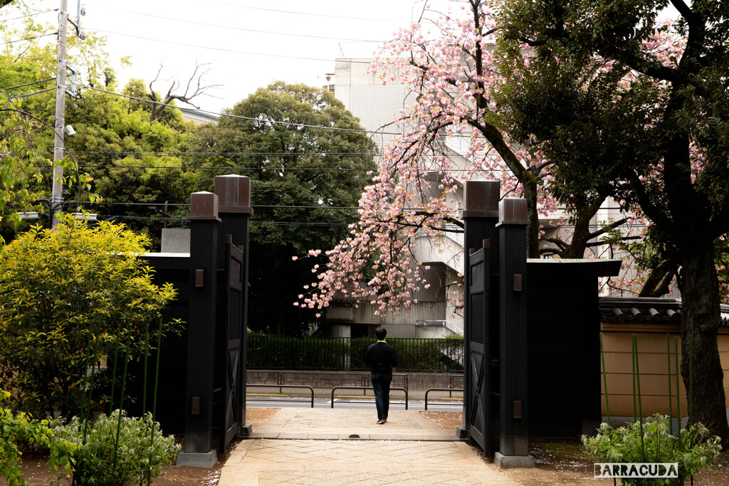上野公園にて①