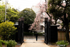 上野公園にて①