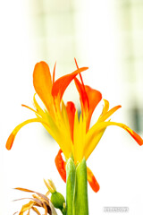 小さい秋を探しに⑤