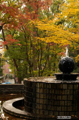 宝来公園のボール噴水