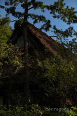 三渓園　茅葺の家