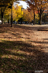 上野公園散策（第一弾）③