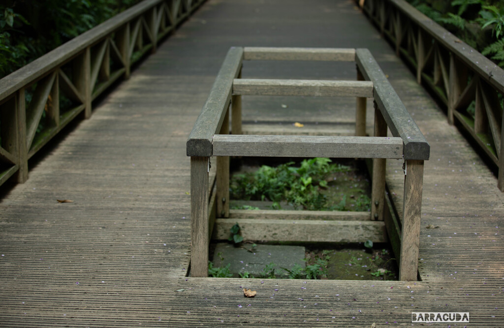 横須賀・猿島シリーズ③　冒険Ⅱ