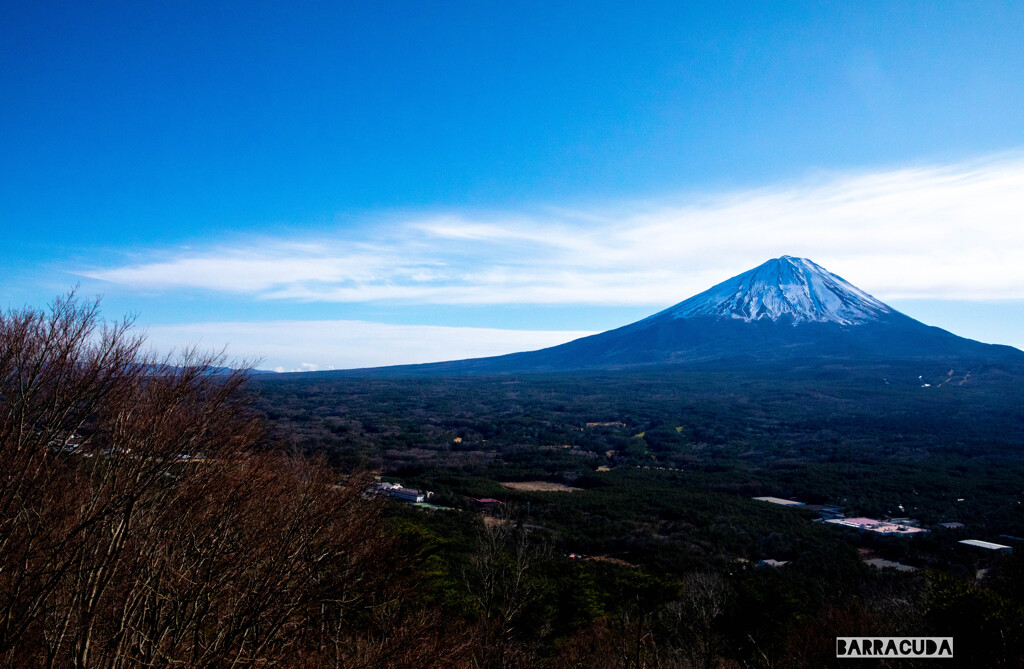 紅葉台からの富士山①