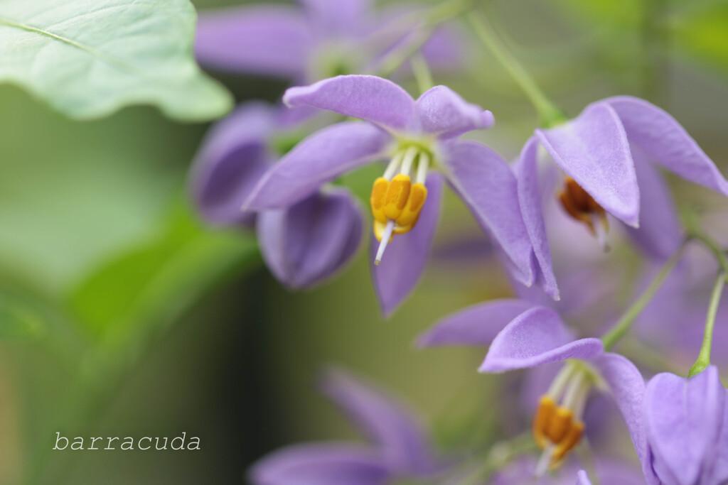 2016年2月大船にて③