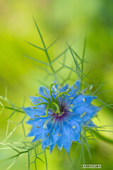 木場公園にて①