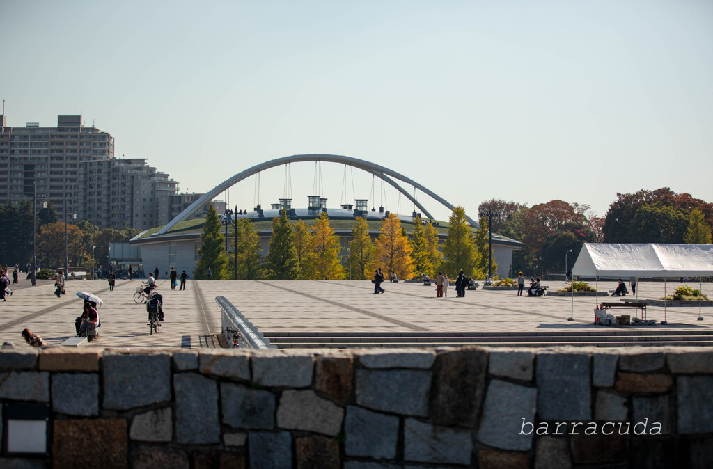 駒沢散策残り⑤