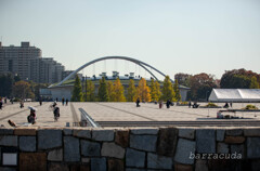 駒沢散策残り⑤