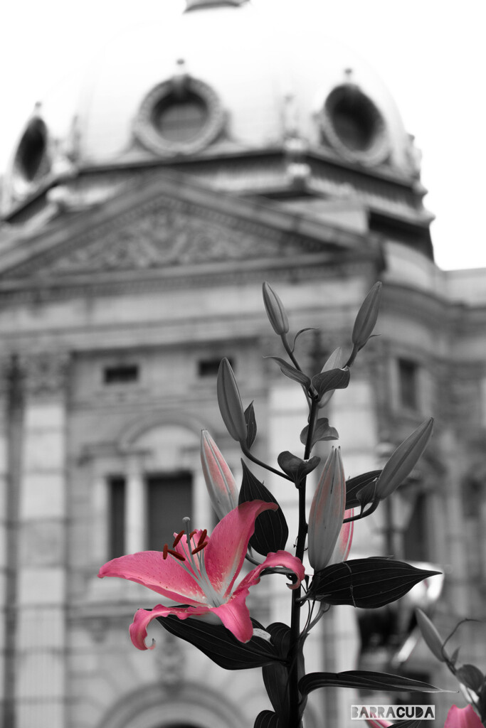 思い出・印象・記憶