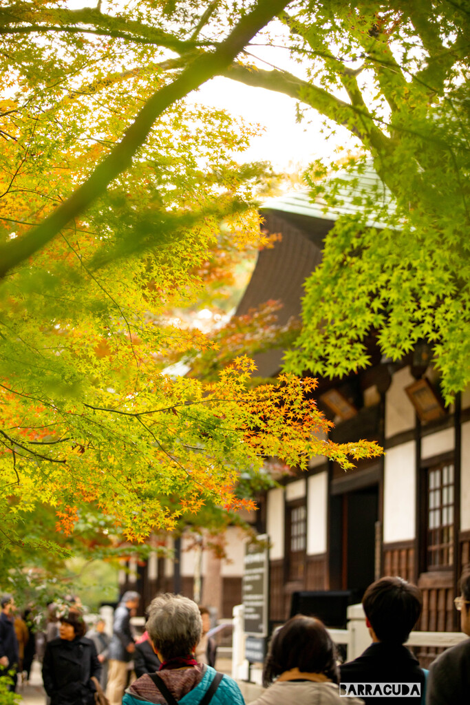 浄真寺・阿弥陀堂前にて
