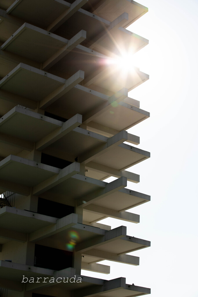 駒沢散策残り④