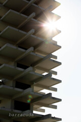 駒沢散策残り④