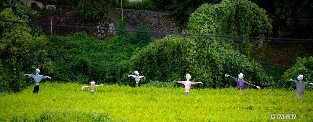 七沢森林公園⑥