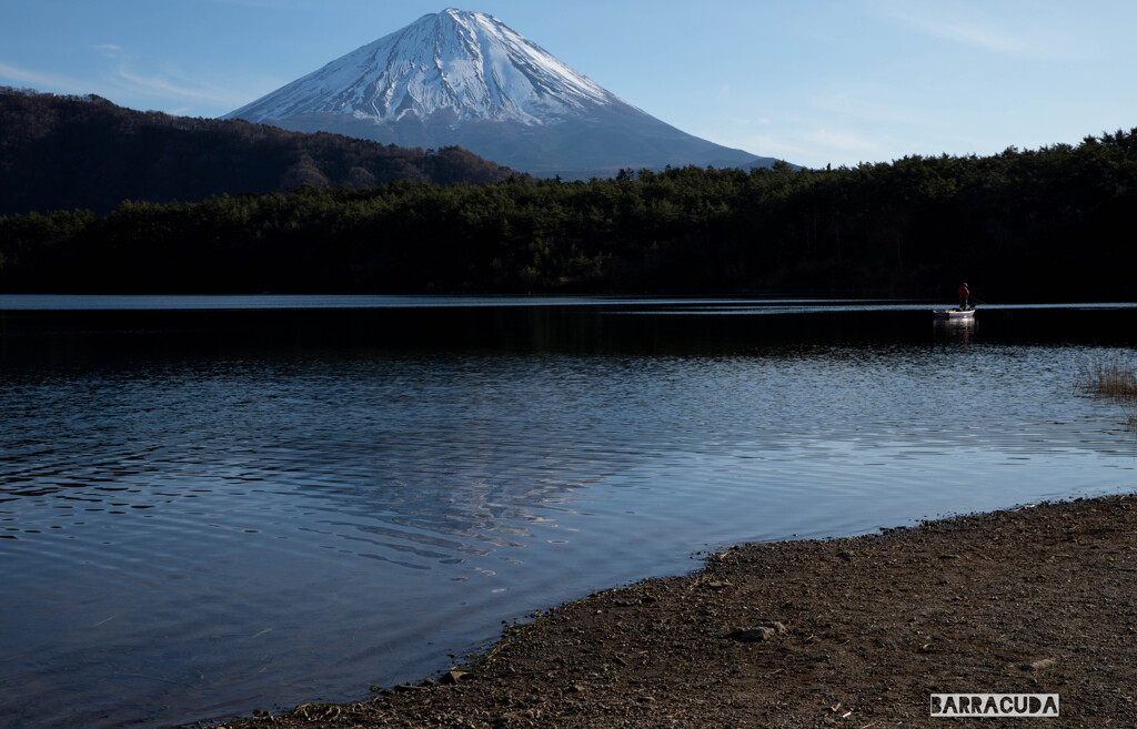 西湖からの富士山①