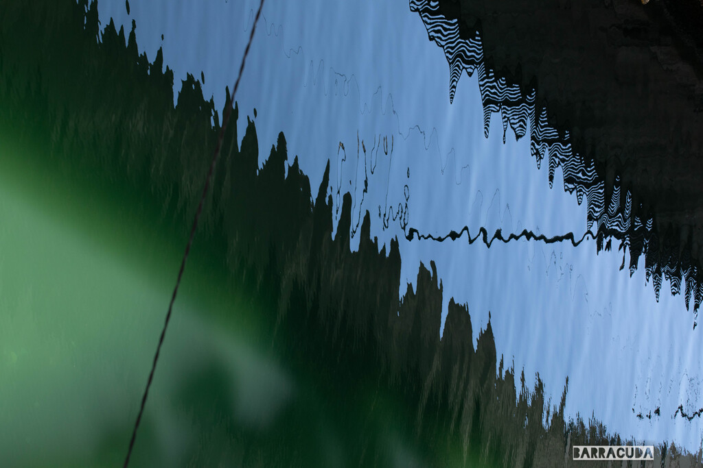 山下公園・港の見える丘公園のその他③