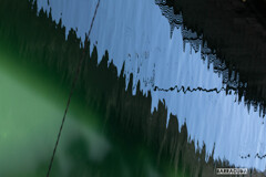 山下公園・港の見える丘公園のその他③