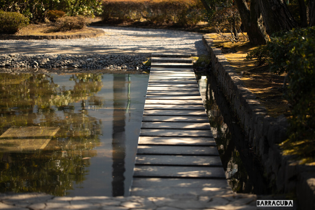 木漏れ日の飛び石