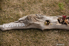 江の島スモールワールド！⑦