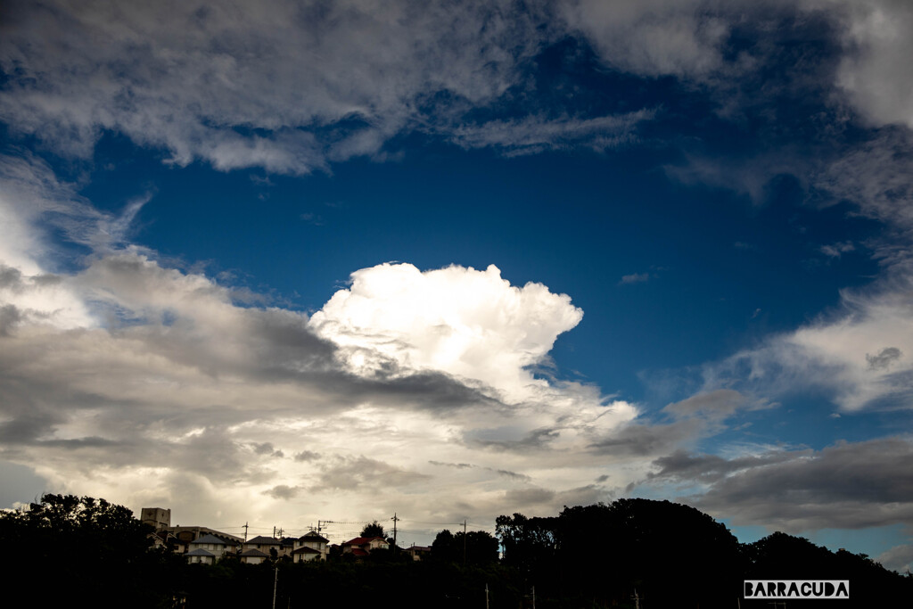 本牧山頂公園⑦