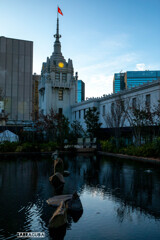 三越シリーズ⑤　屋上庭園