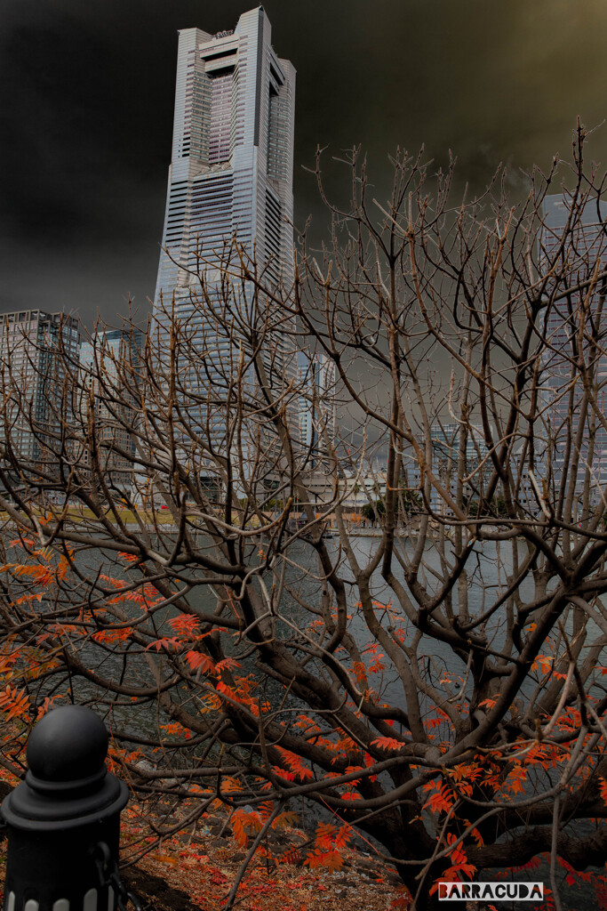 作品『冬の足音』