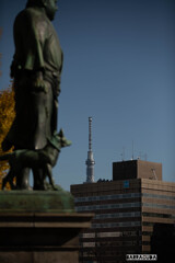 上野公園散策（第一弾）⑨