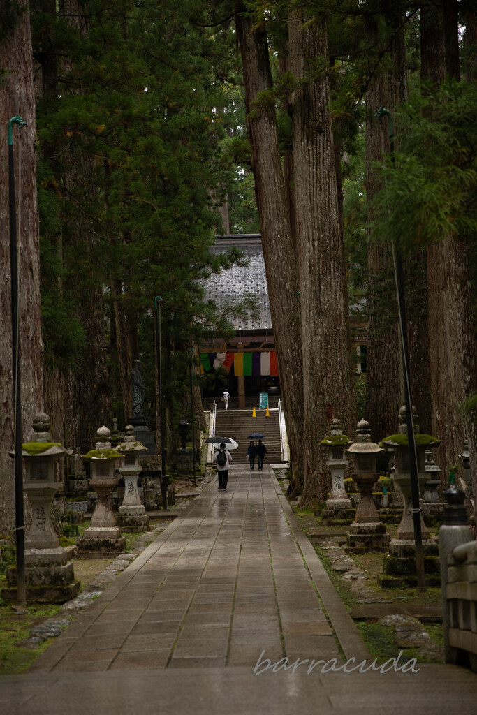 伊勢・熊野・高野山　旅行シリーズ