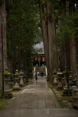 伊勢・熊野・高野山　旅行シリーズ