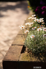 山手・元町・中華街の散策⑤