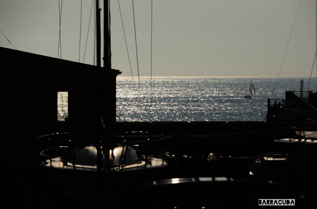 葉山マリーナ①