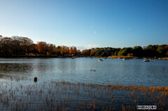 昭和記念公園⑦
