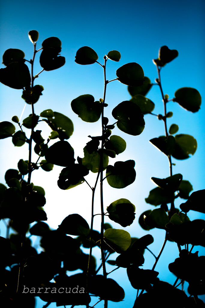 遊んでみました！( ﾟДﾟ)②