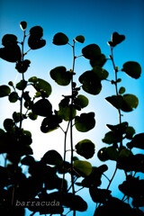 遊んでみました！( ﾟДﾟ)②