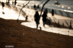 大さん橋の夕暮れ