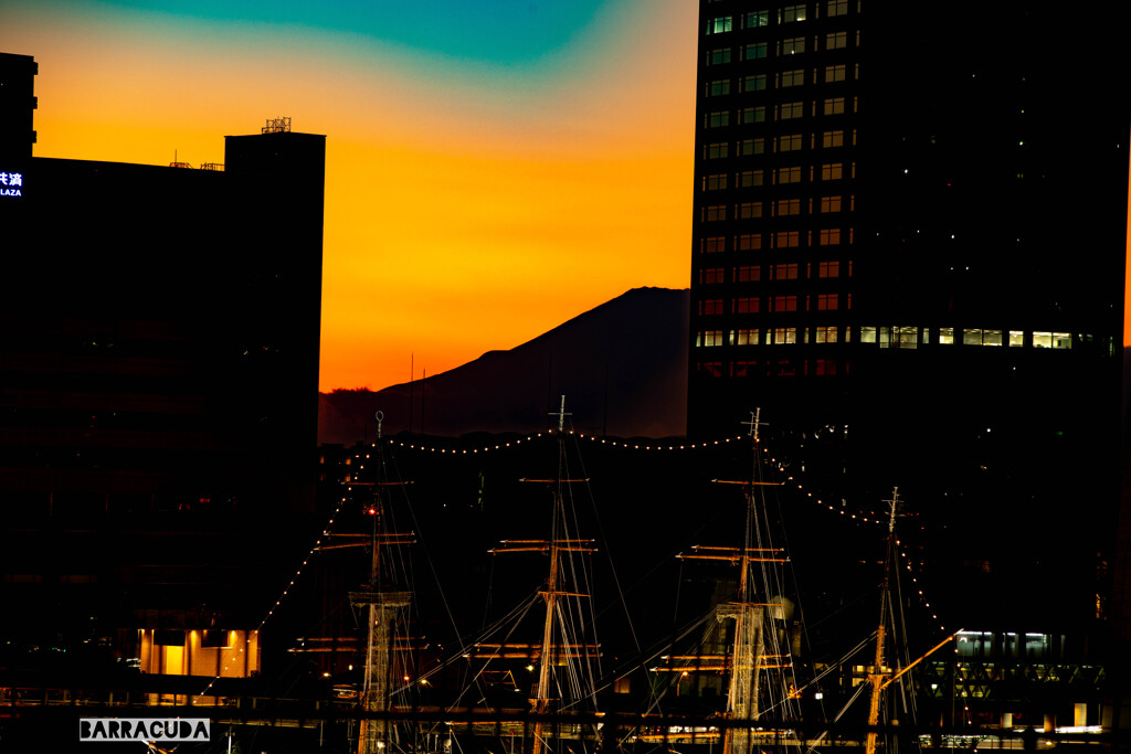 もうひとつの影