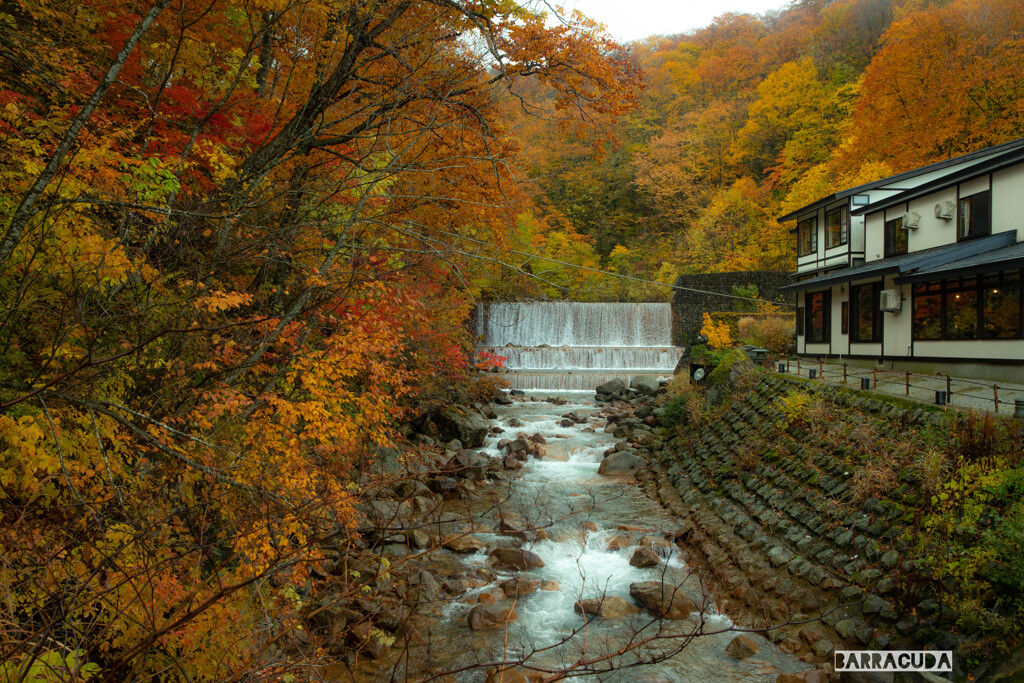 乳頭温泉郷の紅葉③