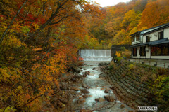 乳頭温泉郷の紅葉③