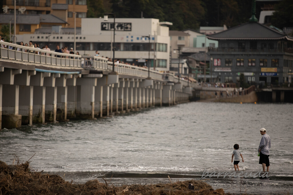 江の島シリーズ