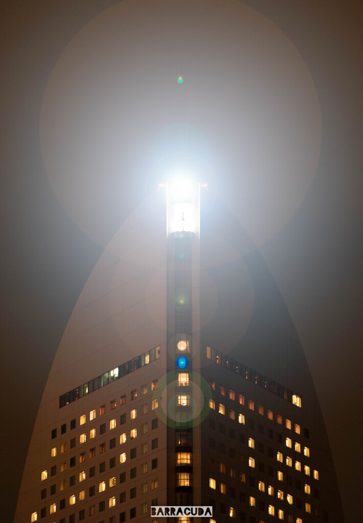 降臨！Ⅱ　(*´з`)