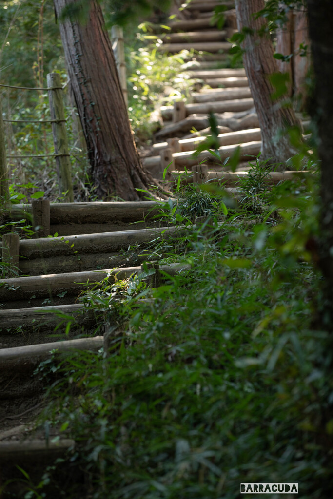 しんばやし公園③　急な階段