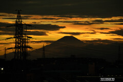 猛暑の後、燃える②