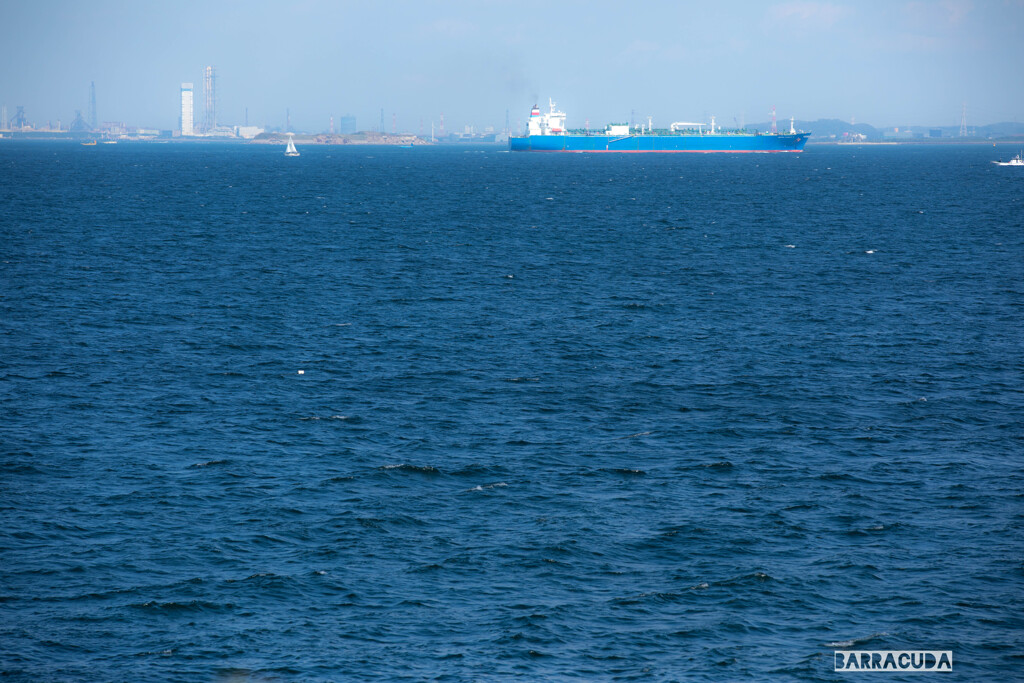 横須賀・猿島シリーズ⑥　東京湾