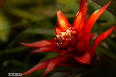 長久保公園にて①