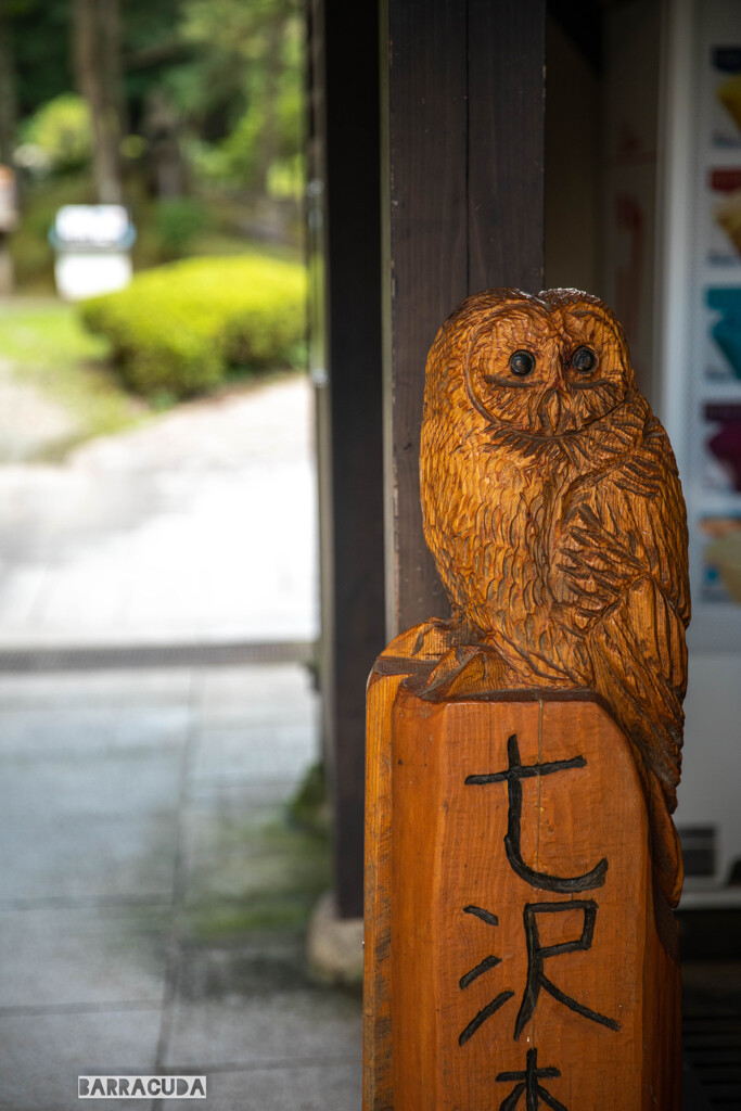七沢森林公園⑩