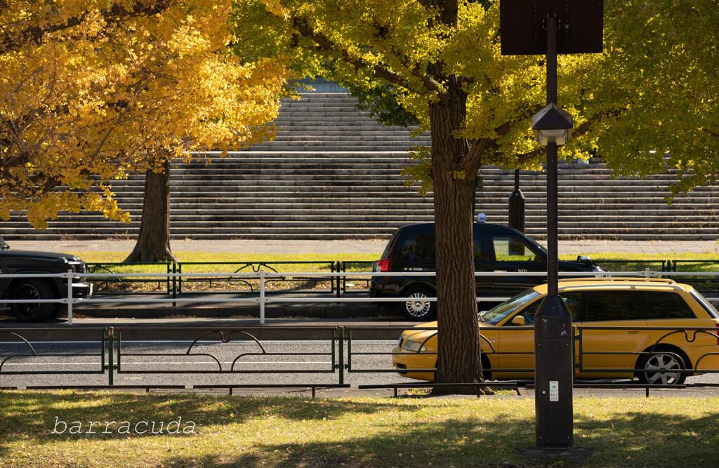 駒沢公園散策【前半】⑩