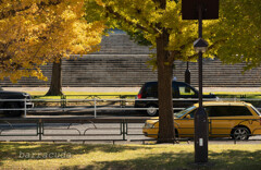 駒沢公園散策【前半】⑩