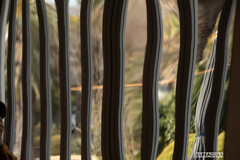 空間がゆがんでる~